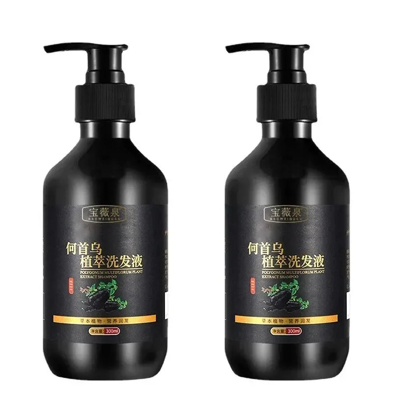 Herbal Polygonum Multiflorum Shampoo